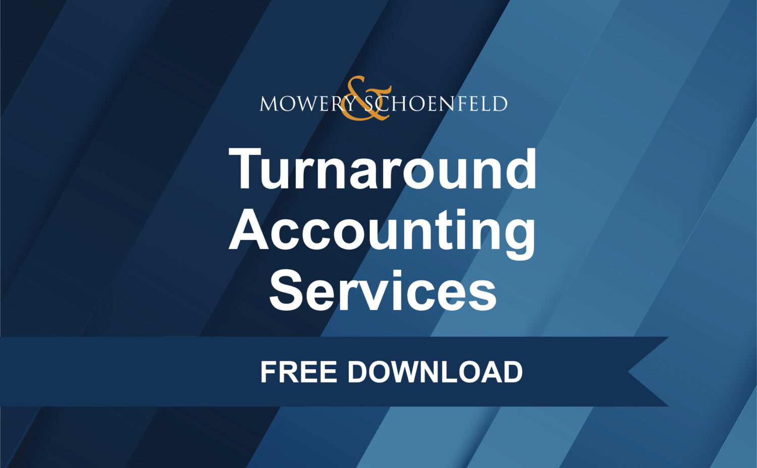 Turnaround Accounting Services - free report download